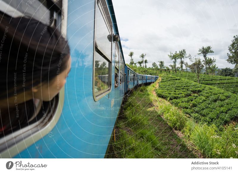 Ruhende asiatische Frau im Zug entlang grüner Pflanzen reisen Tourismus Lächeln genießen Lachen Natur Fenster Eisenbahn Transport Reise Ausflug Sri Lanka Urlaub