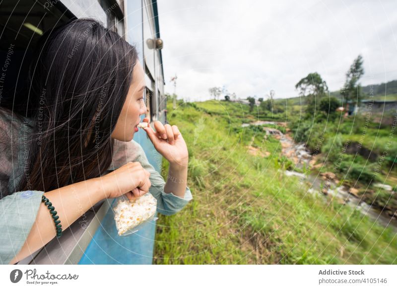 Ruhende asiatische Frau im Zug entlang grüner Pflanzen reisen Tourismus Lächeln genießen Lachen Natur Fenster Eisenbahn Transport Reise Ausflug Sri Lanka Urlaub