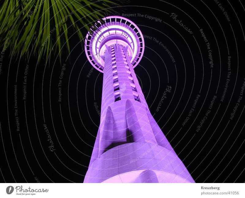 Skytower Auckland Neuseeland Sky Tower Nachtaufnahme Architektur