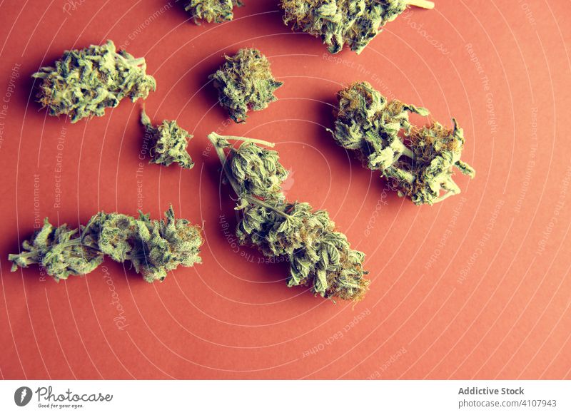 Getrocknete Cannabisknospen auf rotem Hintergrund Marihuana Unkraut getrocknet Blütenknospen Haufen medizinisch Medikament hoch Erholung Dope organisch