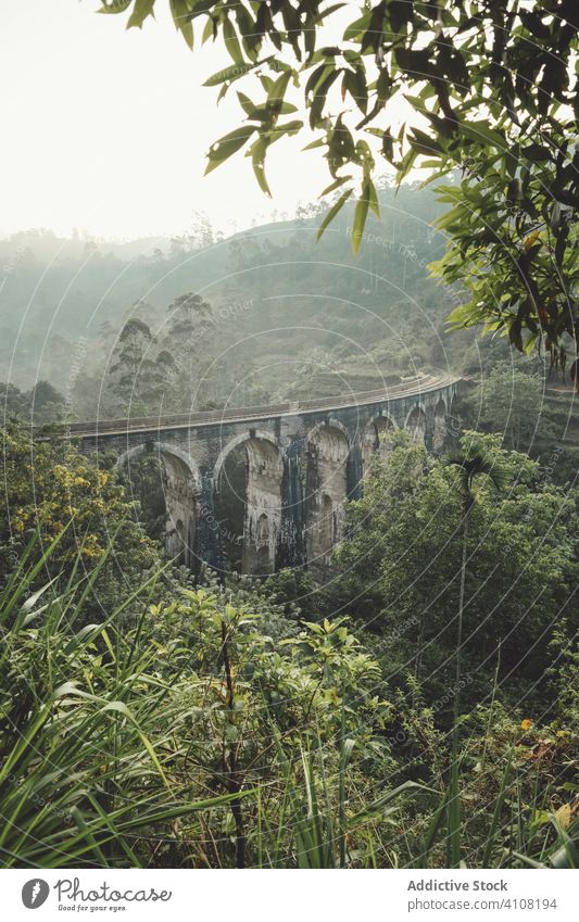 Exotischer Regenwald um alte große Brücke Dschungel gealtert grün exotisch tropisch Wälder bewachsen Nebel Stein Konstruktion Sri Lanka Asien antik historisch
