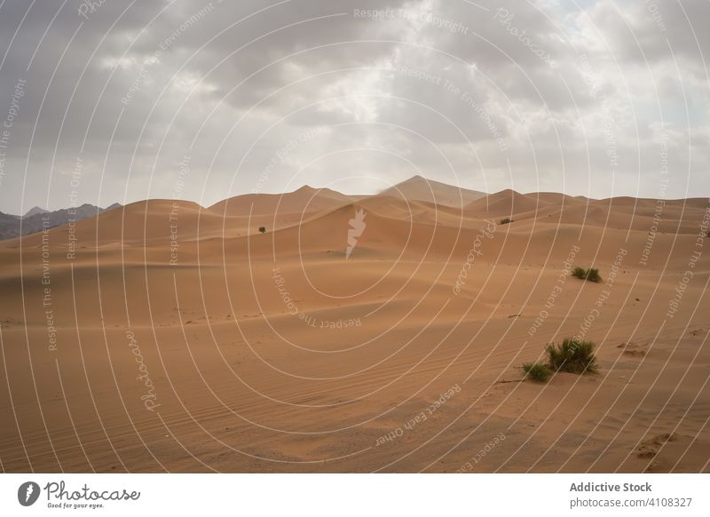 Landschaft mit sandigen Dünen in der Wüste wüst Prima endlos Natur Umwelt wild Wetter Abenteuer Tourismus reisen desolat Ausflugsziel unfruchtbar malerisch