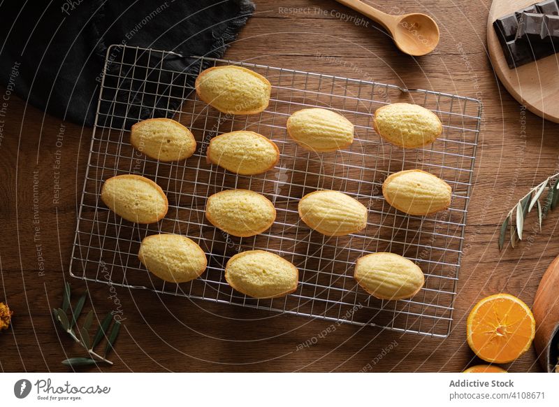 Frische hausgemachte Madeleine-Kekse auf dem Küchengrill madeleine backen selbstgemacht Tradition Raster Lebensmittel hölzern Gebäck Tisch lecker geschmackvoll