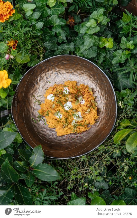 Leckere Gemüsepaste in einer Schüssel im Garten Paste Schalen & Schüsseln Vegetarier Suppengrün lecker Lebensmittel natürlich frisch organisch Küche Gesundheit
