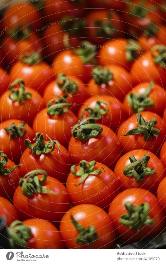Satz frische Tomaten im Karton Werkstatt Lebensmittelgeschäft Container viele rot reif Bestandteil Gemüse Veganer Vegetarier Kasten Laden Markt Einzelhandel