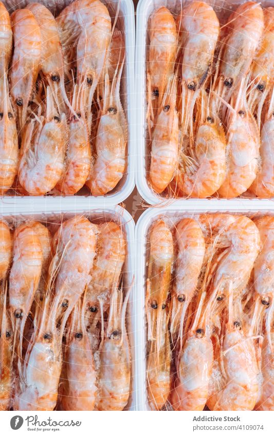 Container mit kalten Shrimps im Laden Granele frisch Meeresfrüchte Kasten Bestandteil viele Verkaufswagen Gewerbe Lebensmittel cool gefroren Krabbe Panzer