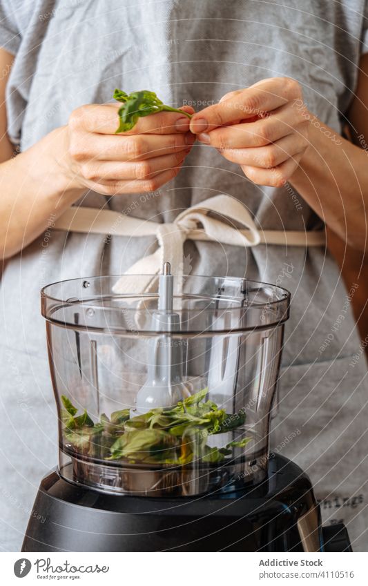 Crop-Frau gibt Kräuter in den Mixer Spinat Mischer hinzufügen Koch Gesundheit Veganer Küche Speise Lebensmittel Vorbereitung heimwärts Mahlzeit Bestandteil