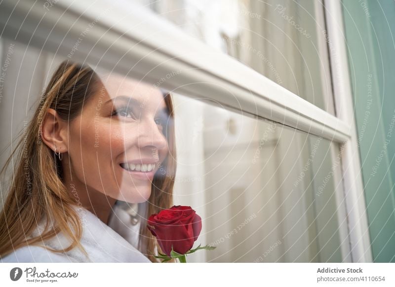 Attraktive erwachsene Frau mit duftender Blume schaut aus dem Fenster und denkt an die Zukunft träumen Roséwein Hoffnung Denken Freude Lächeln romantisch