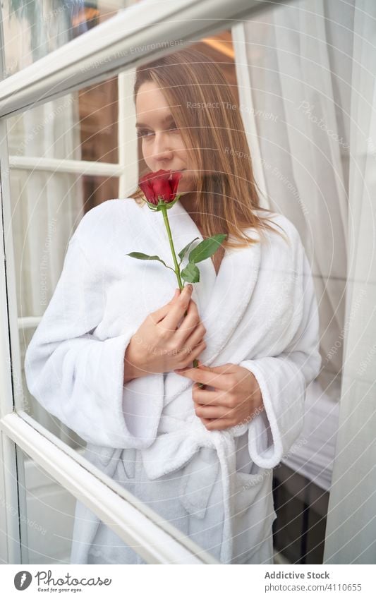 Nachdenkliche Frau mit duftender Blume schaut aus dem Fenster träumen Roséwein Hoffnung Denken Freude Lächeln romantisch Flitterwochen sentimental präsentieren