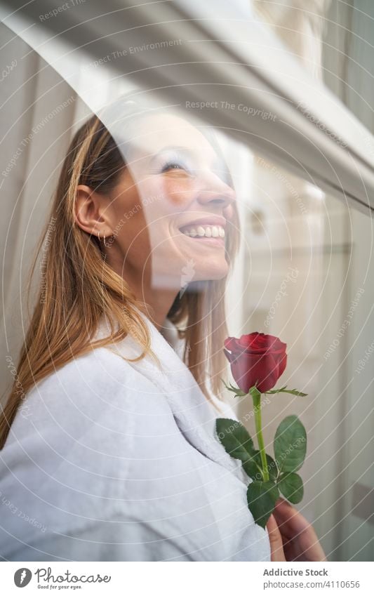 Attraktive erwachsene Frau mit duftender Blume schaut aus dem Fenster und denkt an die Zukunft träumen Roséwein Hoffnung Denken Freude Lächeln romantisch