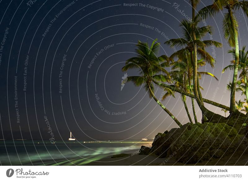 Malerische Szenerie einer sternenklaren Nacht an der Küste von Punta Cana Küstenlinie Landschaft Handfläche Himmel Natur dunkel malerisch Stern Licht Schönheit
