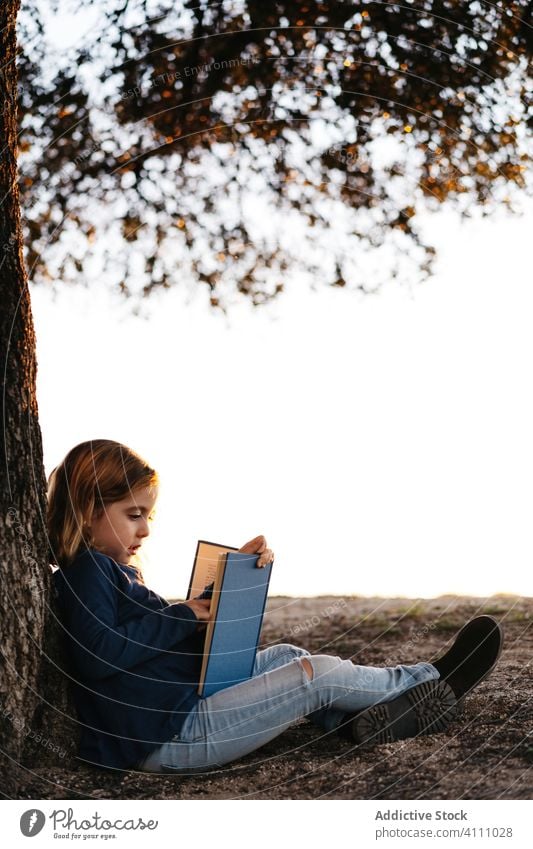 Kleines Mädchen mit Buch unter einem Baum sitzend Kind lesen Natur Feld Kofferraum Sommer lässig Windstille ruhig ernst Konzentration Frau lernen Wiese