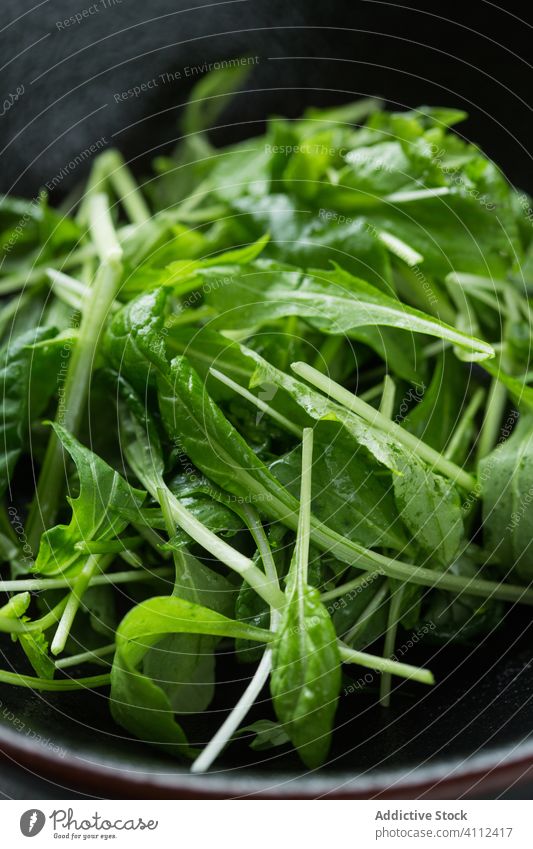 Frischer Rucolasalat in einer Schüssel Salatbeilage Kantine Schalen & Schüsseln frisch Lebensmittel Bestandteil Gemüse Gesundheit Veganer Vitamin Küche Mahlzeit