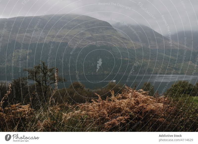 Neblige Landschaft mit Bergen und See Berge u. Gebirge Nebel Cloud Felsen Hochland Ambitus Windstille ruhig Wasser Natur kalt friedlich Schottland trist Ufer