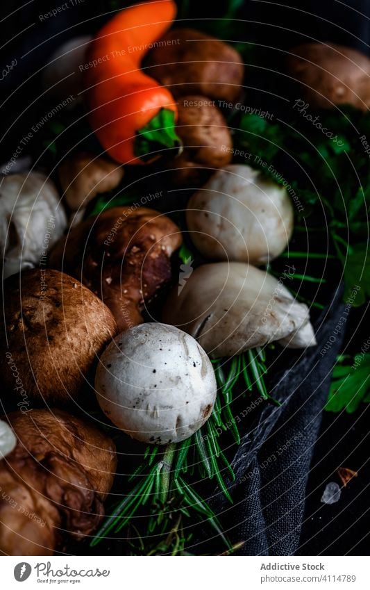 Pilzmischung mit Zwiebeln, Chilischoten, Thymian, Rosmarin und Basilikum roh gesunde Ernährung Vegane Ernährung Vegetarier organisch Lebensmittel Hintergrund