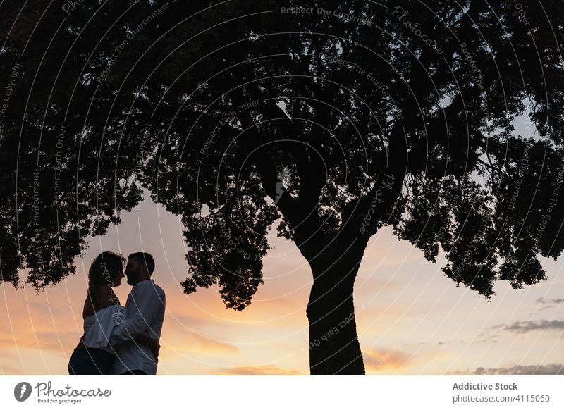 Anonymes Paar unter einem Baum bei Sonnenuntergang Termin & Datum Himmel wolkig Händchenhalten Silhouette Frau Mann romantisch Natur Liebe Lifestyle Freund