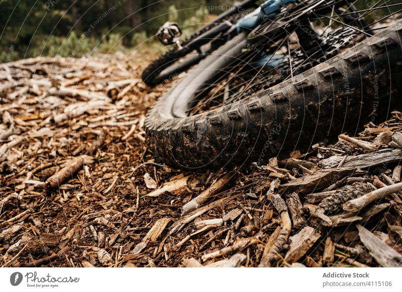 Fahrrad auf trockenem Holz im Wald Boden Reifen dreckig trocknen Chip reisen Landschaft Haufen Natur Grunge Gerät Nutzholz niemand Umwelt rau Ausflug Reise
