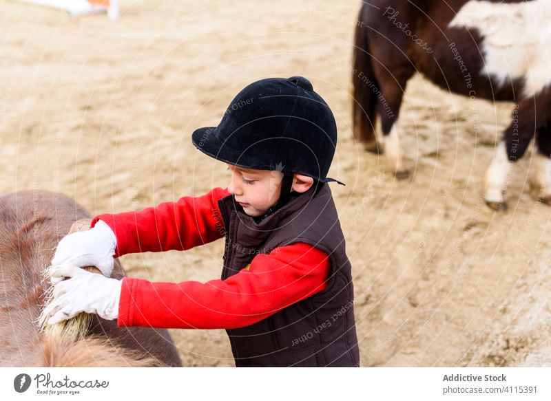 Kleiner Junge bürstet Ponyfell Bürste Ponys Sauberkeit Arena Reiterin Schule Jockey Mantel Pflege Kind Anzug Tier Schutzhelm Sicherheit rau Dressur Sport