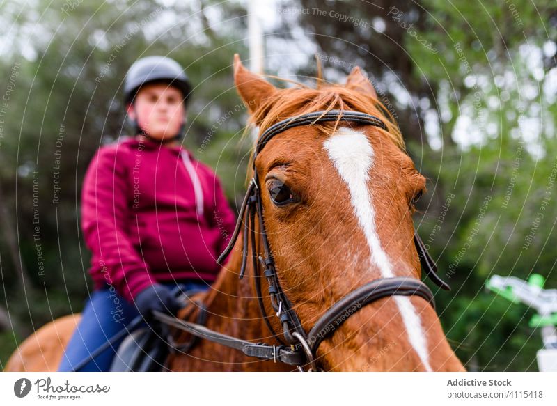 Pferd mit jugendlicher Reiterin auf dem Rücken Dressur Arena Teenager Jockey Übergewicht Landschaft Training Schule Kastanie gehorsam Mitfahrgelegenheit Freund