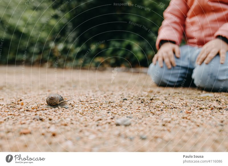 Kind schaut Schnecke an Riesenglanzschnecke Schneckenhaus erkunden Neugier Frühling Außenaufnahme Natur Garten Weichtier Farbfoto Tier krabbeln Nahaufnahme