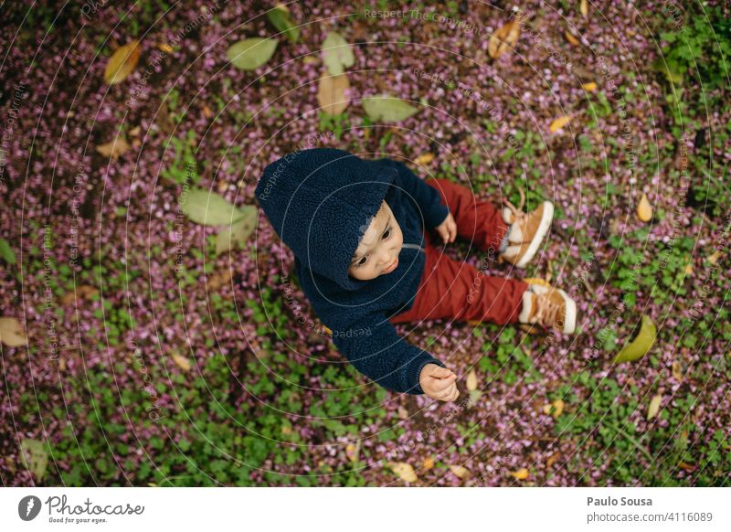 Kind spielt mit Blumen Vogelperspektive Kindheit Farbfoto farbenfroh Frühling authentisch Stock Freude mehrfarbig Frühlingsblume Frühlingsgefühle 1-3 Jahre