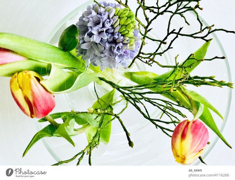 Frühlingsblumen Tulpen Hyazinthe Blumenstrauß Blüte Pflanze Natur grün schön Blühend Dekoration & Verzierung rot rosa Innenaufnahme Tag Farbfoto gelb Blatt