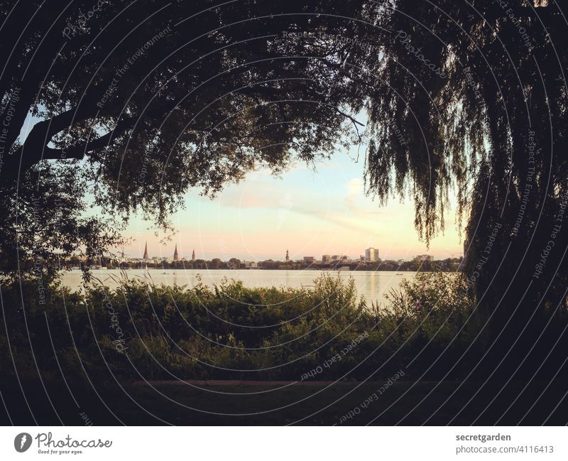 Voll den Durchblick haben malerisch Aussicht Hamburg Alster Horizont Außenaufnahme kitschig Skyline Menschenleer See Stadt Alsterufer alsterblick alstersee
