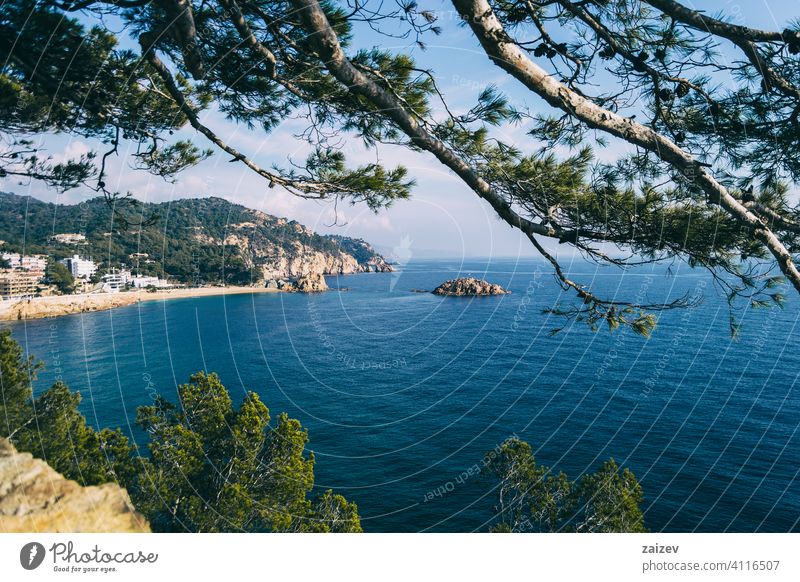 landschaft der strände und buchten der spanischen costa brava Costa Brava Landschaft Ansichten MEER Wasser mediterran Katalonien Bäume Hain Rüssel