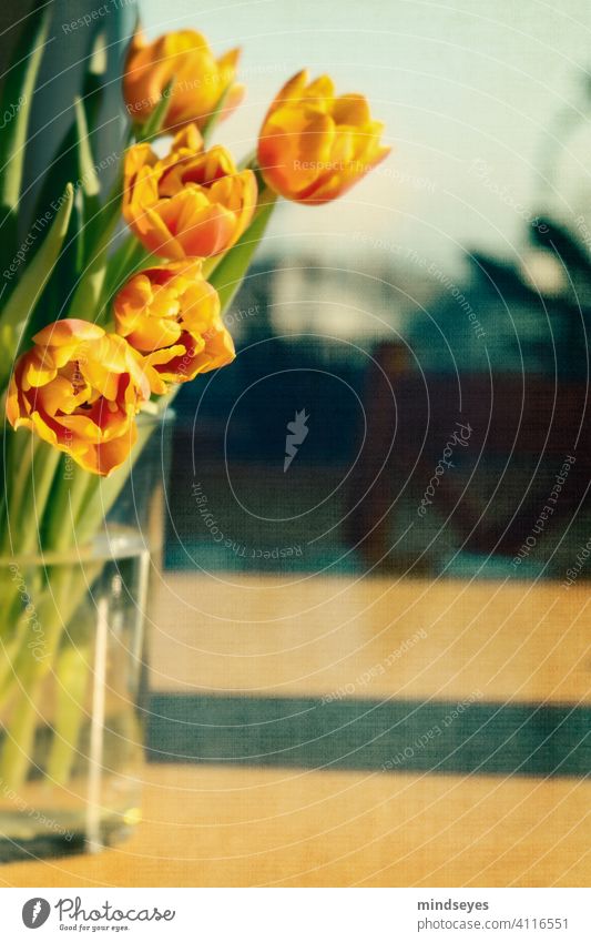 Tulpen in einer Vase Tulpenstrauß Tulpen in Vase Warmes Licht Wohnkultur Frühling Frühlingsblume gelb orange optimistisch gemütliches Zuhause
