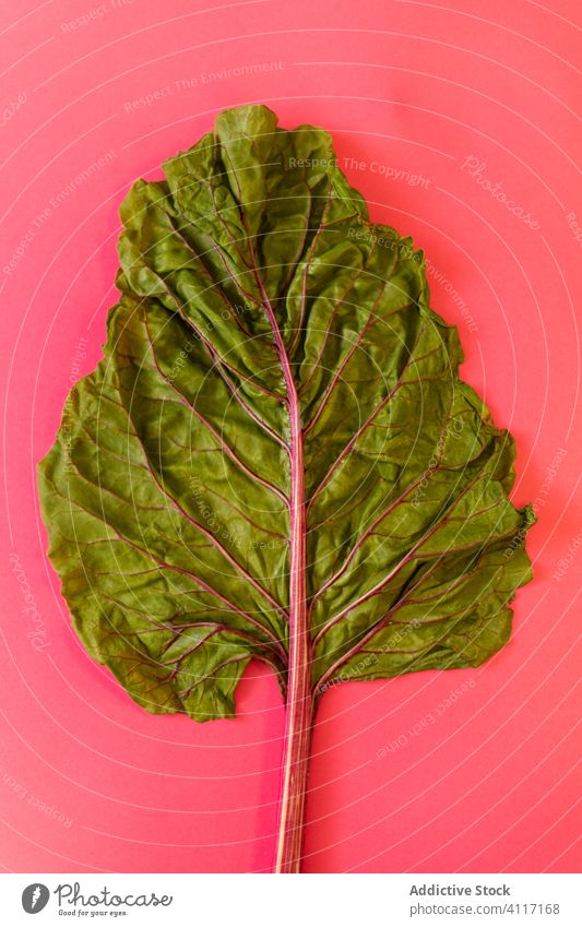 Rote-Bete-Blatt auf rosa Hintergrund Gemüse Gesundheit Zusammensetzung frisch reif Rote Beete farbenfroh hell Hälfte grün pulsierend Veganer natürlich Pflanze