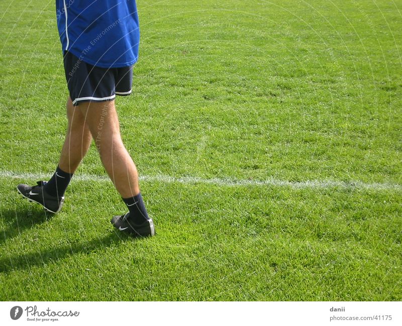 Trainer 1860 Spielfeld Mann Fußball Rasen Sport laufen Beine