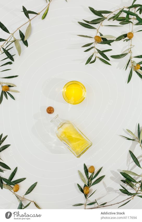 Olivenzweige und Öl auf weißem Tisch oliv Erdöl Ast Glas natürlich Gesundheit Bestandteil organisch Lebensmittel Ernährung Pflanze Blatt Diät frisch Vegetarier