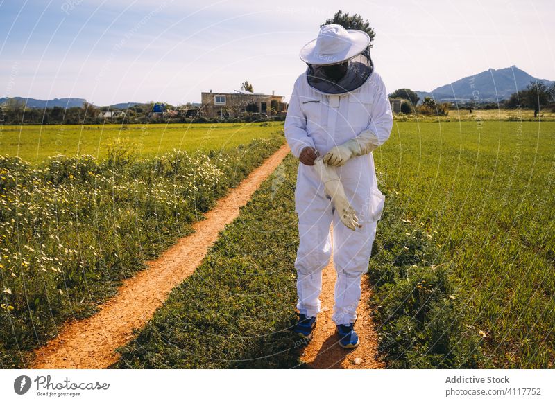 Imker mit Schutzhandschuhen im Feld stehend Handschuh behüten Uniform Bienenkorb Arbeit vorbereiten angezogen professionell Gras grün Tracht Job weiß Sicherheit