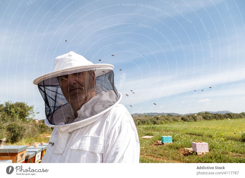 Männlicher Imker bei der Arbeit im Bienenstock an einem sonnigen Tag Mann Bienenkorb Feld Arbeitskleidung Uniform behüten Sommer Mundschutz Tracht männlich