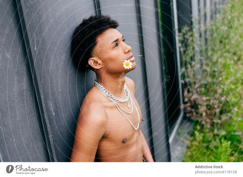 Hemdloser ethnischer Mann mit Blume in den Zähnen trendy ohne Hemd Streetstyle anketten gutaussehend sinnlich jung ernst männlich Model schwarz Afroamerikaner
