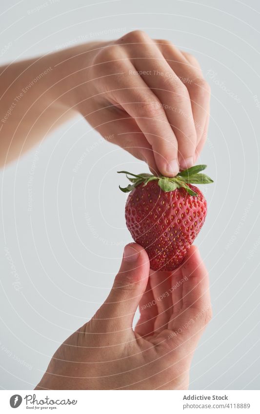 Erntekind mit reifen Erdbeeren Kind zeigen heimwärts Sommer frisch Lebensmittel süß Frucht Beeren Gesundheit Snack wenig Kindheit Bestandteil manifestieren