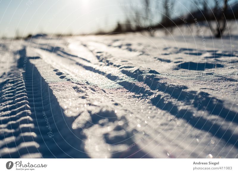 Spuren Skifahren Natur Landschaft Erde Sonne Winter Klima Schönes Wetter Eis Frost Schnee Linie Streifen Skispur Loipe glänzend kalt blau weiß selbstbewußt