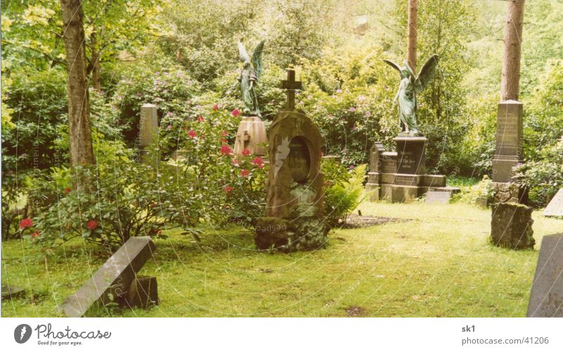 Buntes treiben auf dem Friedhof grün Grabstein Blühend Pflanze