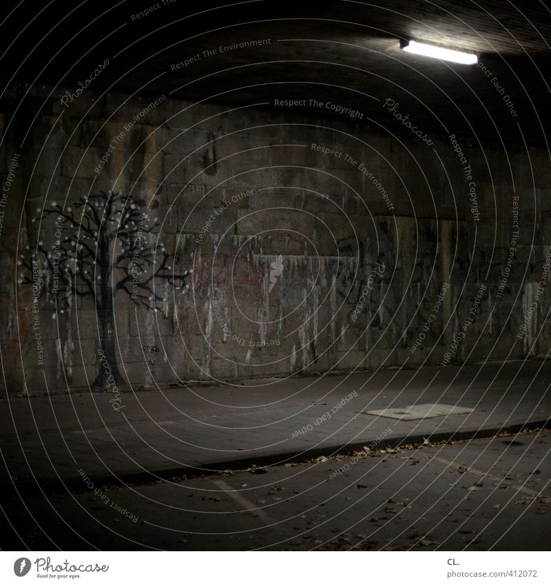 schattengewächs Umwelt Natur Baum Stadt Mauer Wand Straße Wege & Pfade Tunnel Brücke verblüht dunkel trist grau Sehnsucht Einsamkeit Angst Zukunftsangst