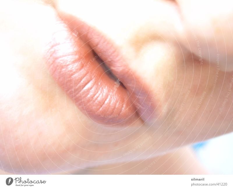 Kesse Lippen 1 Frau geschminkt Schminken Lust verführerisch Küssen Kosmetik Lippenstift Schmollmund Mund Gesicht genießen busseln bussi geben bützen schnäbeln
