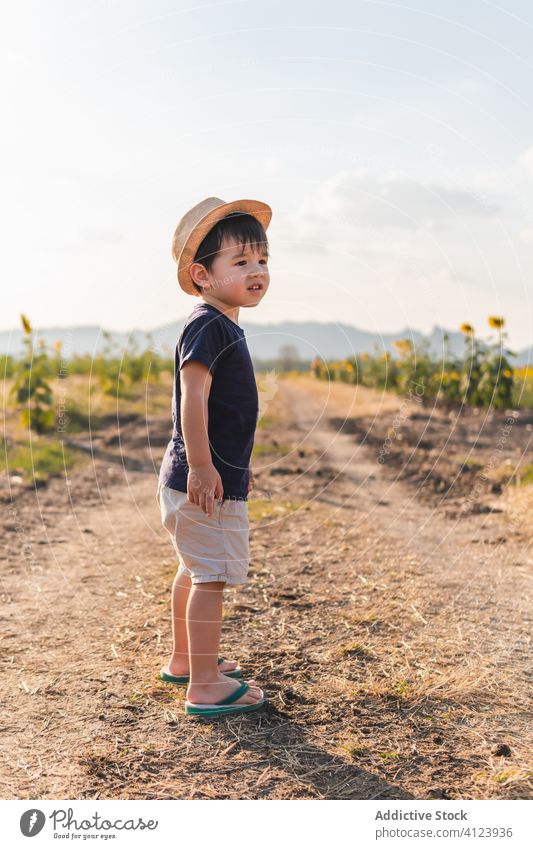Glücklicher kleiner Junge auf der grünen Wiese heiter Sonnenblume Feld aufgeregt Natur sorgenfrei Hut Kind Lächeln Freude Kindheit froh positiv Landschaft