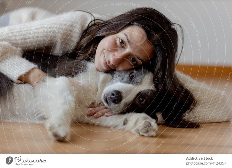 Glückliche Frau umarmt süßen, reinrassigen, grau-weißen Hund während der Bodenruhe Umarmen Stock Umarmung Pflege ruhen niedlich Freundschaft Haustier bezaubernd