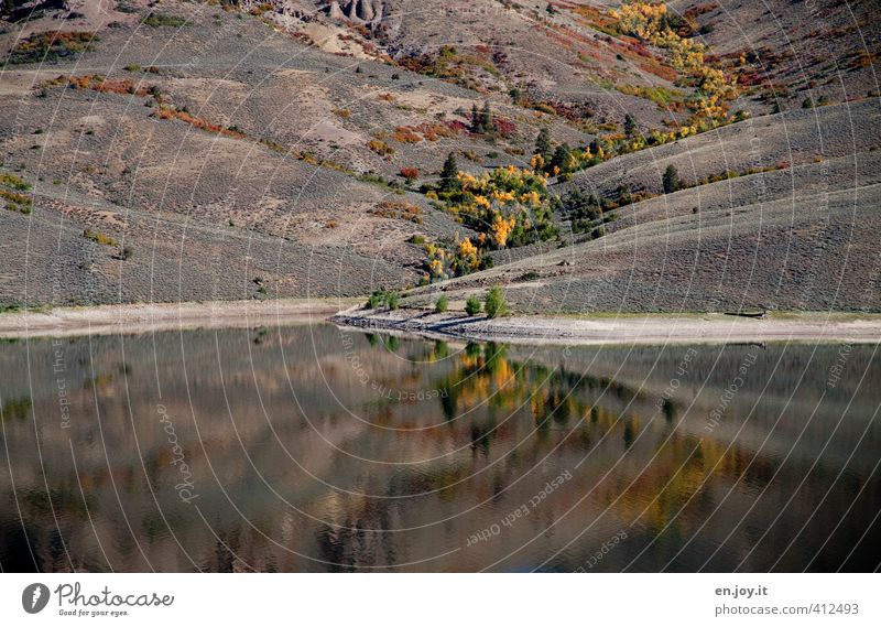 Lebensader Umwelt Natur Landschaft Pflanze Wasser Baum Sträucher Hügel Seeufer braun gelb Klima Wege & Pfade Colorado Herbst herbstlich Farbfoto Außenaufnahme