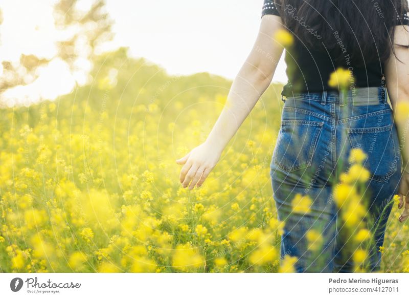 Junge Frau berührt Blumen in einem Feld mit Sonnenlicht schön Lifestyle Sommer Natur jung Mädchen Freiheit Erholung Schönheit im Freien Frühling Hintergrund
