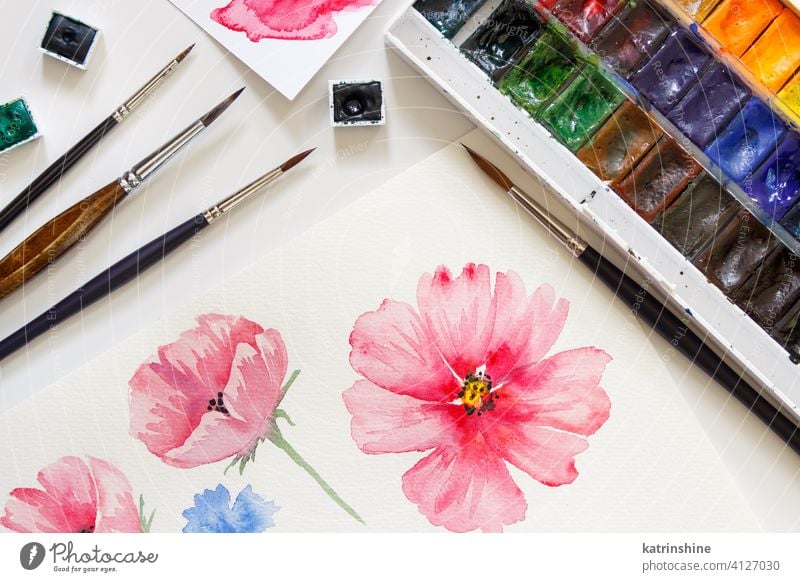 Frau malen rosa Blumen mit Aquarellfarben t Farbe peonie Rosen Draufsicht Bürste niemand hell Pastell künstlerisch Papier Bildung Kreativität Zeichnung Tisch