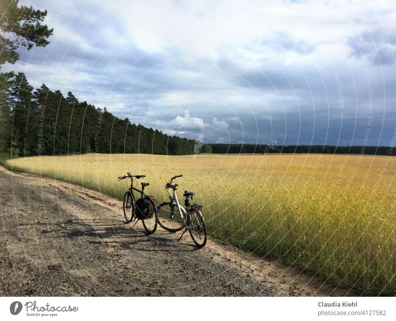 Fahrräder am Feldrand Fahrradfahren Außenaufnahme Sport Fahrradtour Freizeit & Hobby sportlich Mobilität Wege & Pfade Ausflug Fahrradweg Bewegung