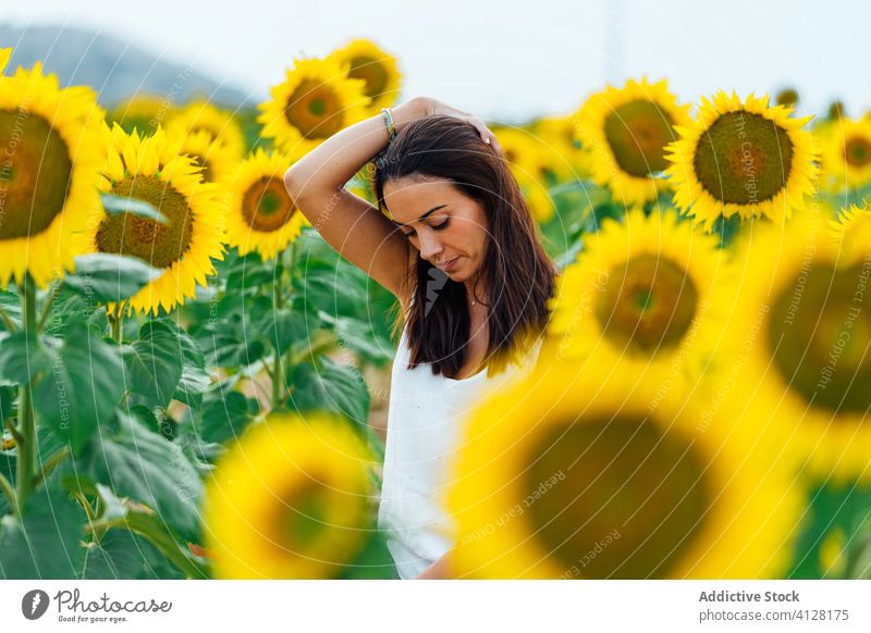 Glückliche Frau mit geschlossenen Augen in einem Sonnenblumenfeld brünett Feld Sommer Lächeln ruhen Erwachsener Augen geschlossen farbenfroh hell positiv Freude