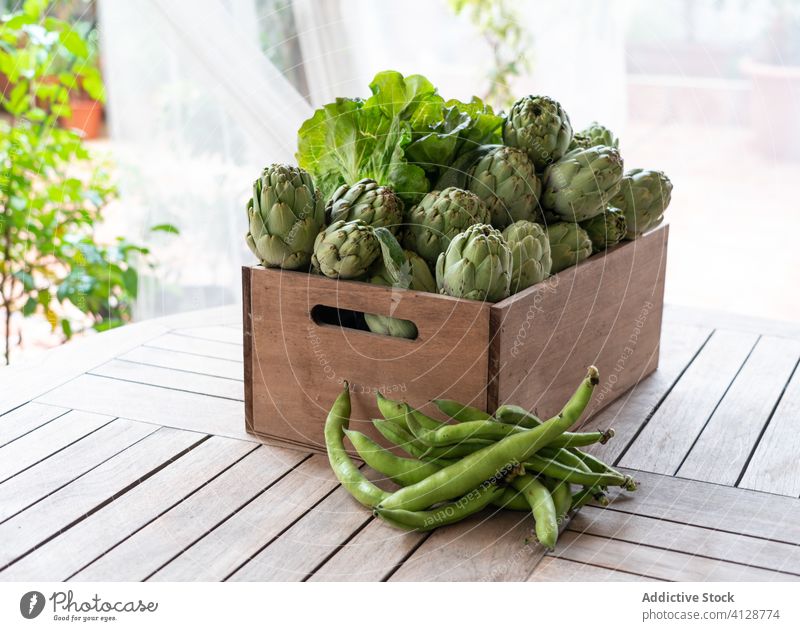 Kiste mit frischem Gemüse auf dem Tisch im Garten Diät Gesundheit organisch Lebensmittel Artischocke Vegetarier Hintergrund natürlich grün hölzern weiß Sammlung