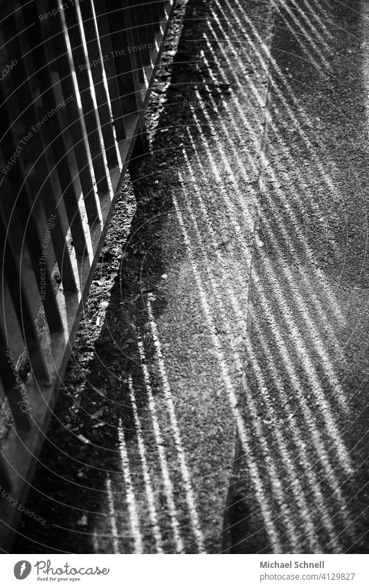 Schatten von einem Geländer auf einen Bürgersteig Licht Licht & Schatten Muster Strukturen & Formen abstrakt Menschenleer Sonnenlicht Linie Schwarzweißfoto grau