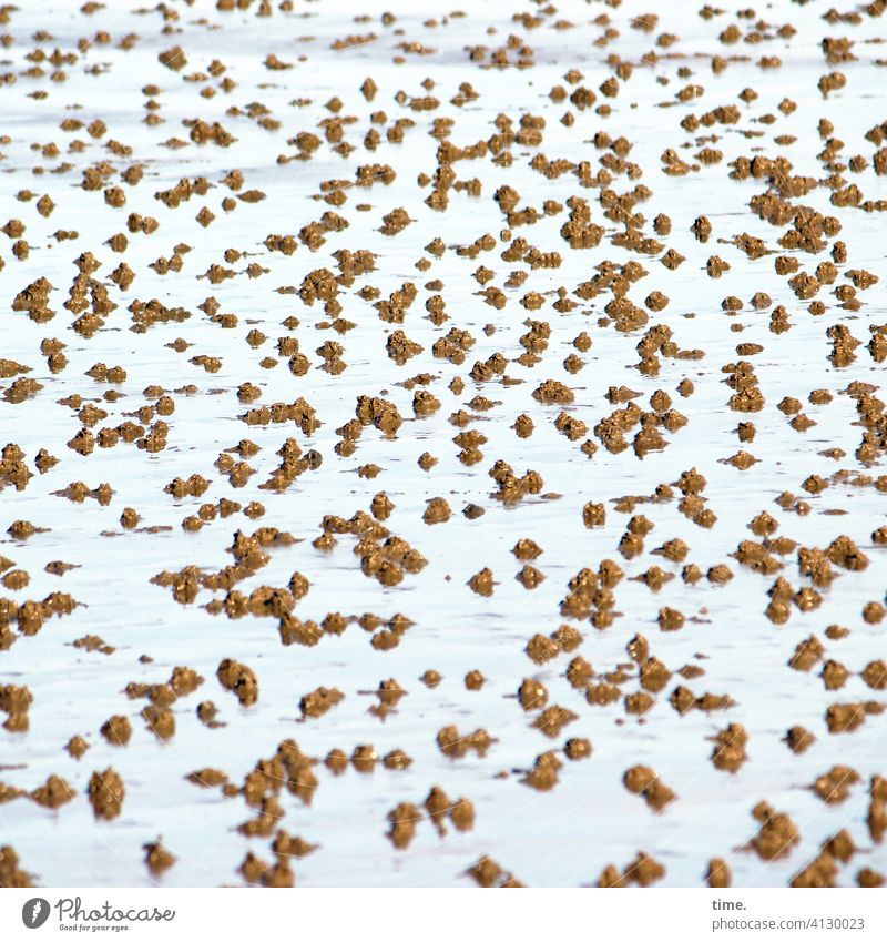 Ökosystem Wattpampe wasser schlick lehm sand muster struktur hügel haufen natur umwelt skurril Wattwürmer